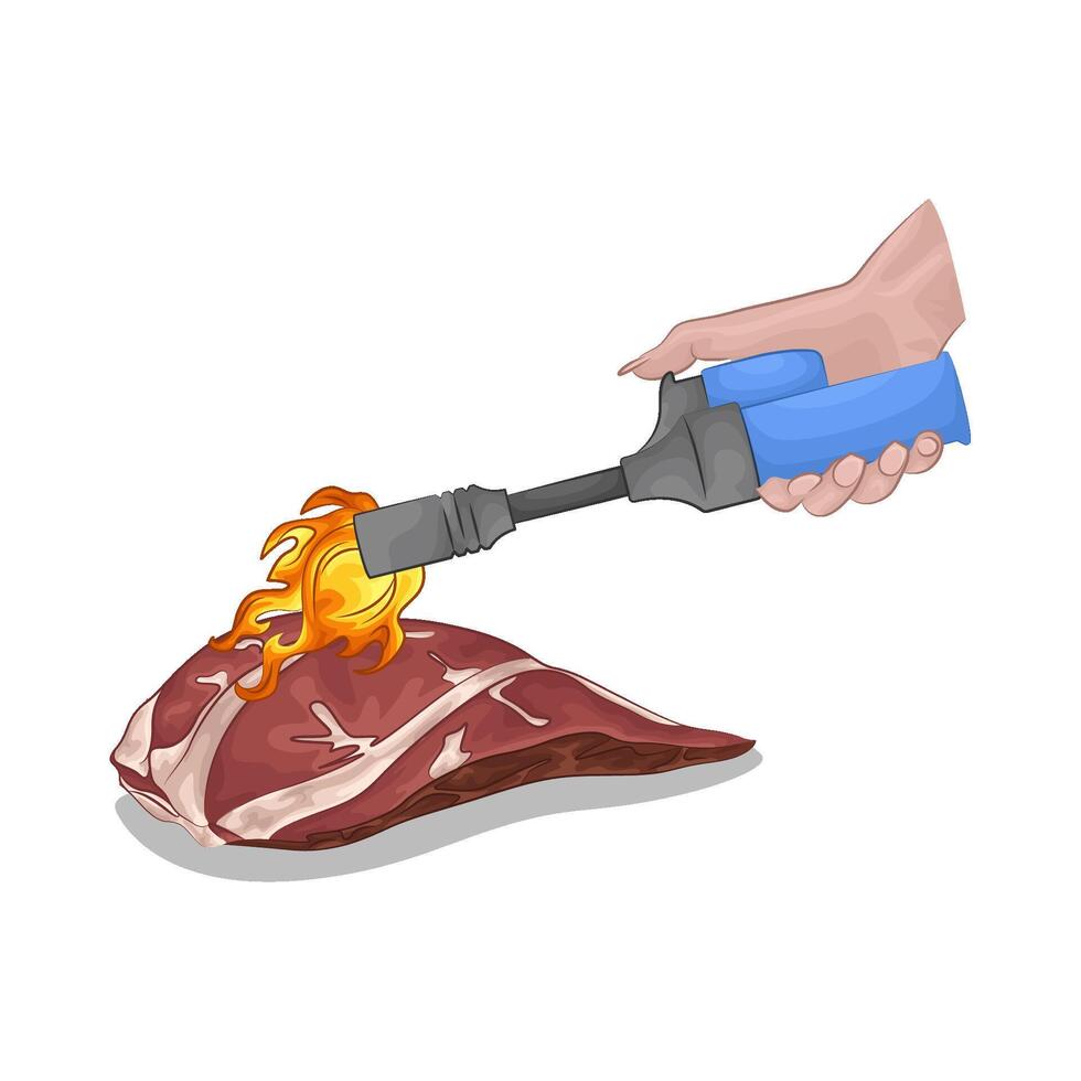 gas lighter roasts meat vector