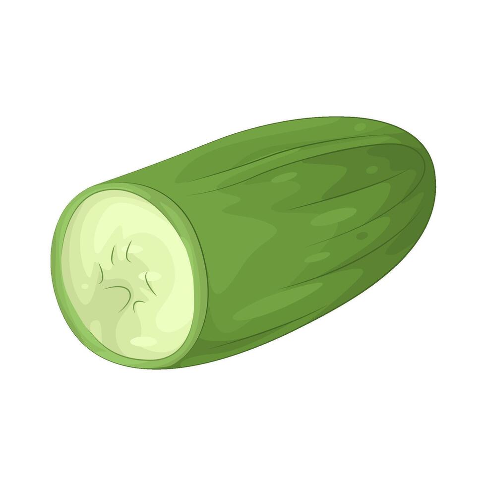 Illustration of cucumber vector