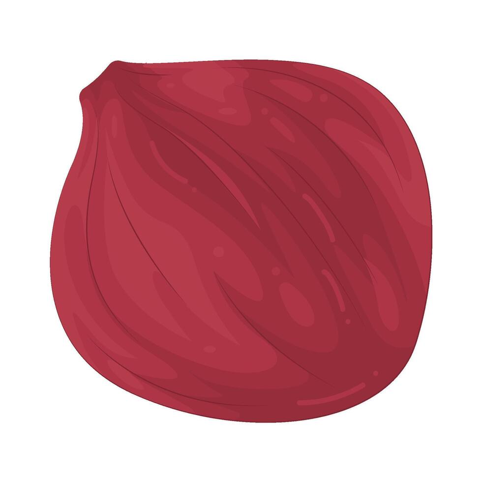 Illustration of Shallot vector