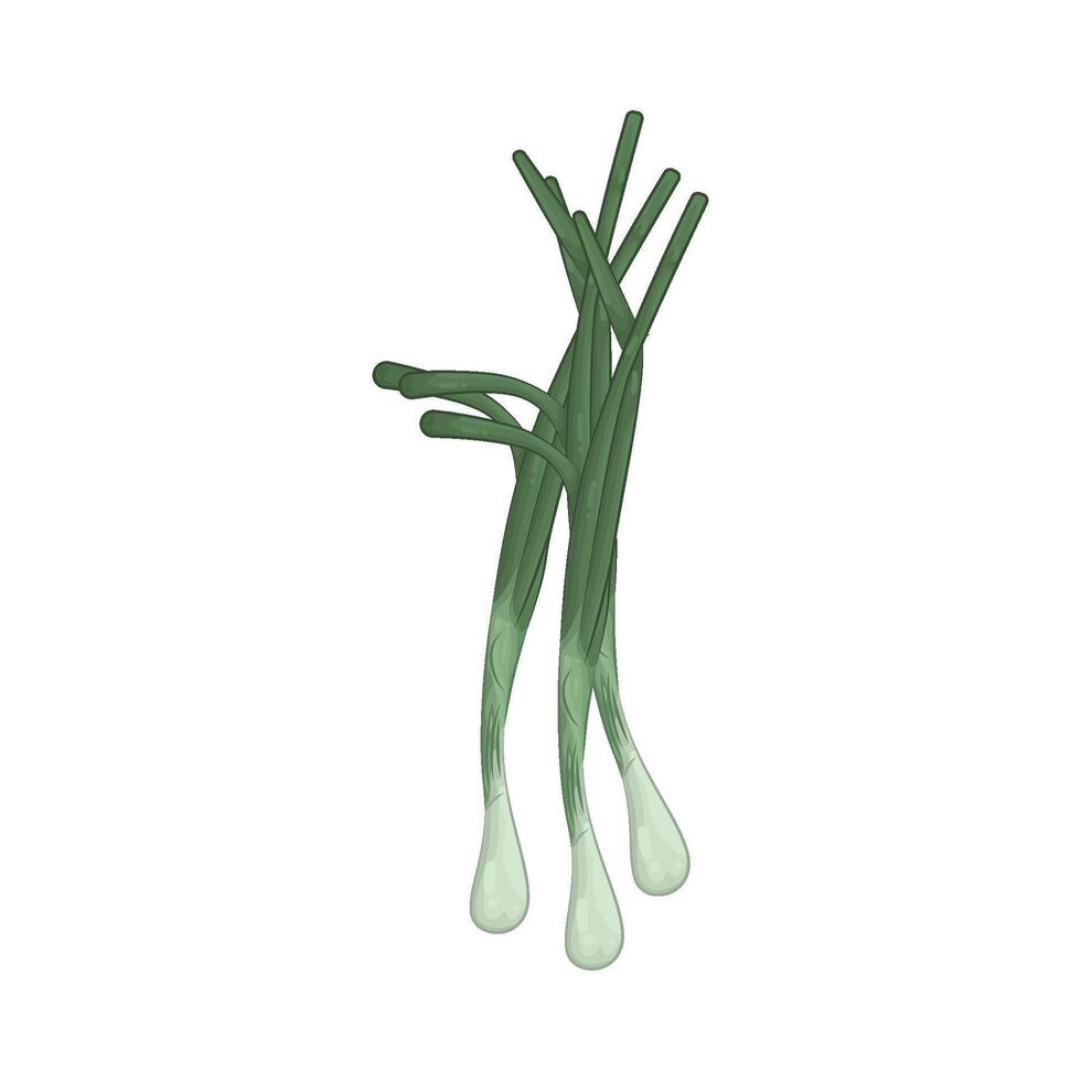 Illustration of green onions vector