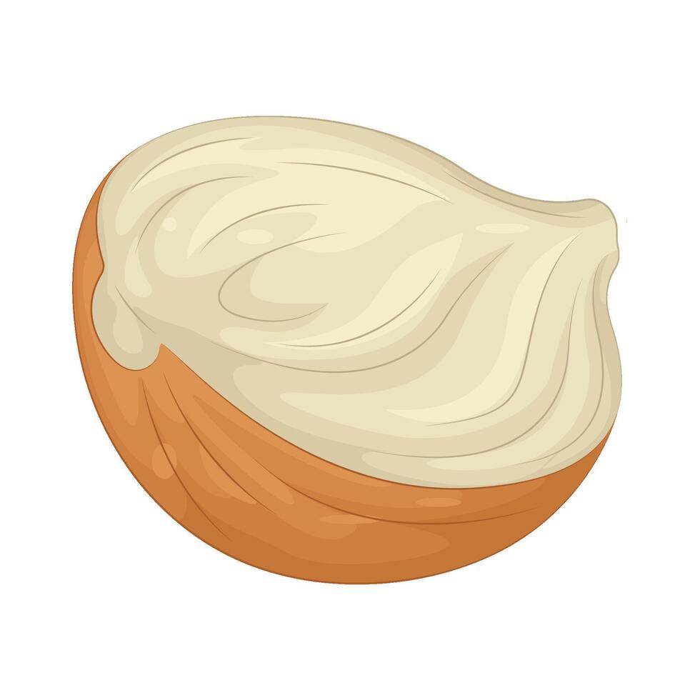Illustration of half Onion vector