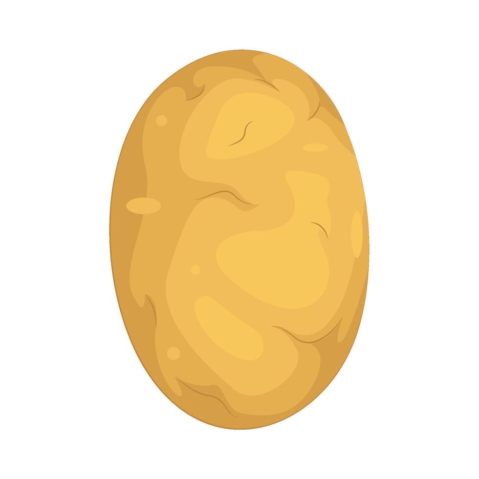 Illustration of Potato vector