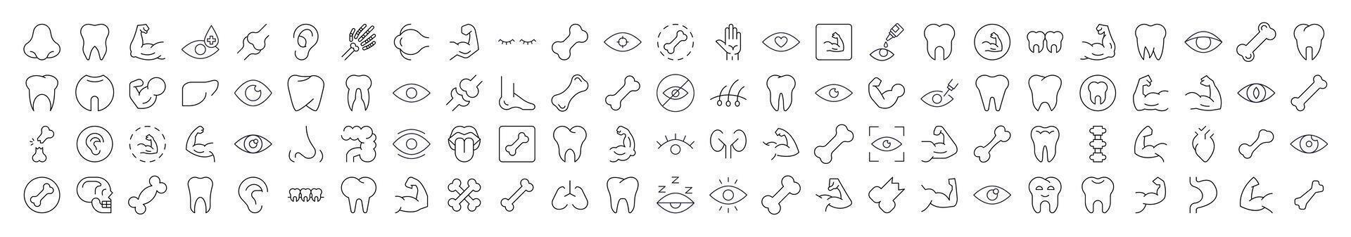 Bundles, Eye, Tooth, Muscle, Internal Organs Pictograms Drawn with Thin Line. Collection of Various Design Elements that Can Be Used for Apps, Articles, Web Sites, Social Media vector