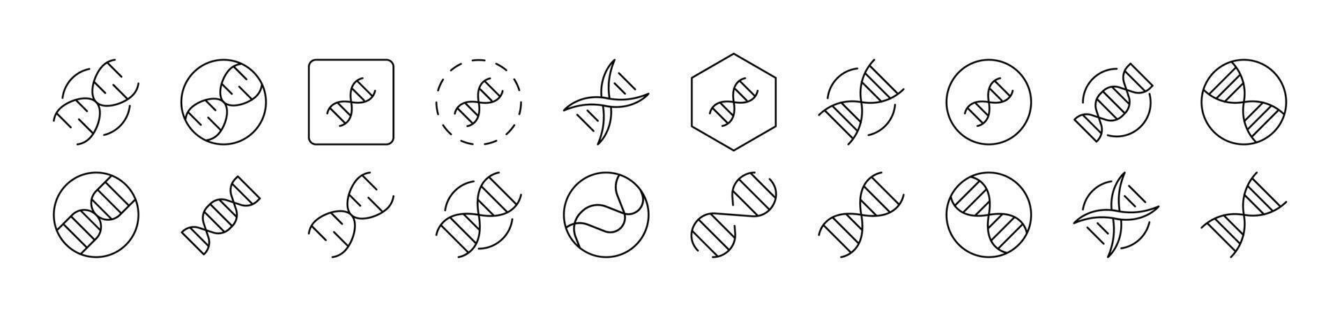 DNA Collection of Thin Icons. Editable Stroke. Suitable for Web Sites, Books, Cards, Apps vector