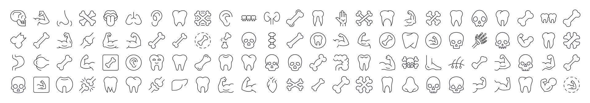 Internal Organs, Teeth and Bones Bundle of Thin Icons. Editable Stroke. Suitable for Web Sites, Books, Cards, Apps vector