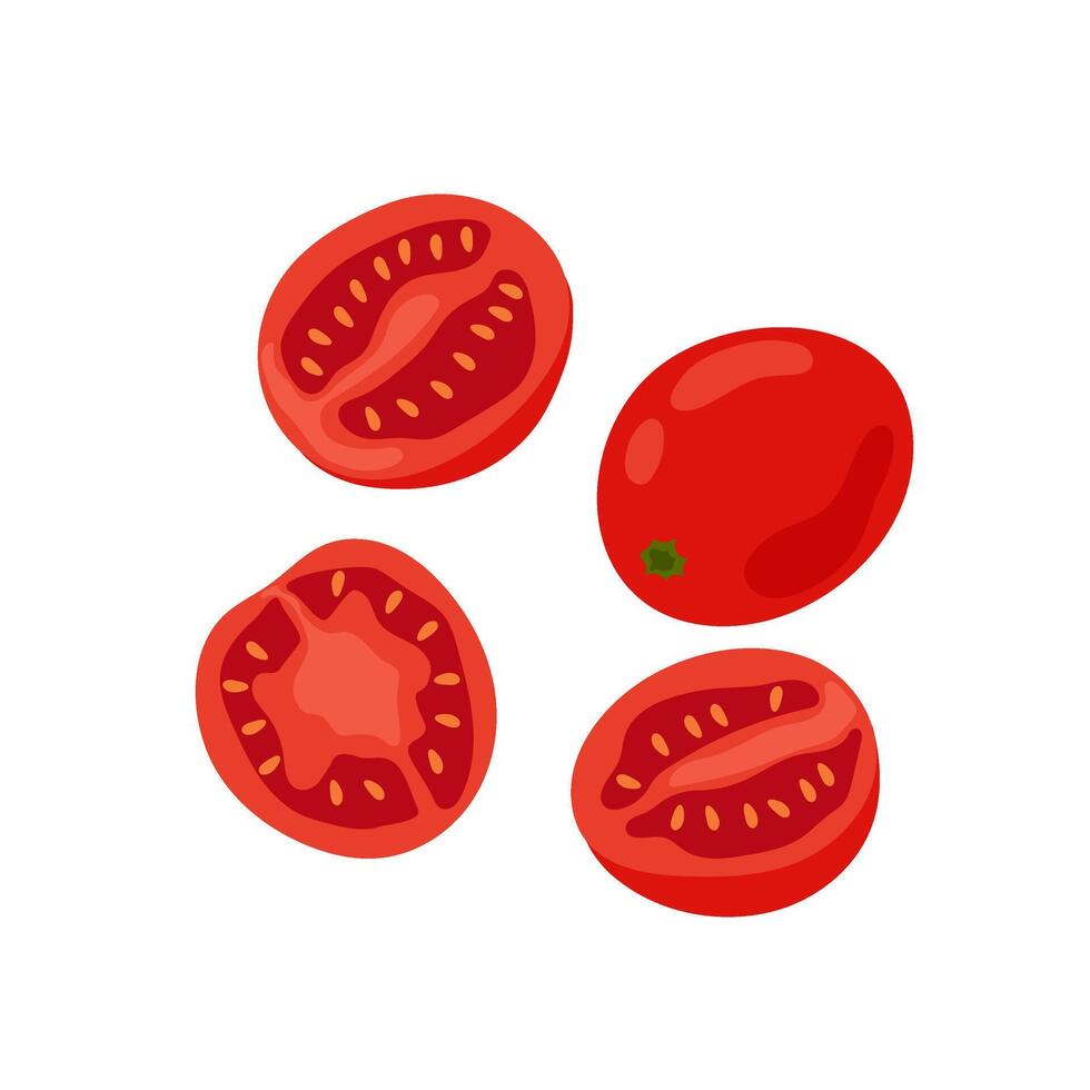 Tomatoes. Red ripe tomato halves. Ingredient for salad, pasta, sauce and other. Flat illustration of ripe vegetables on white background. vector