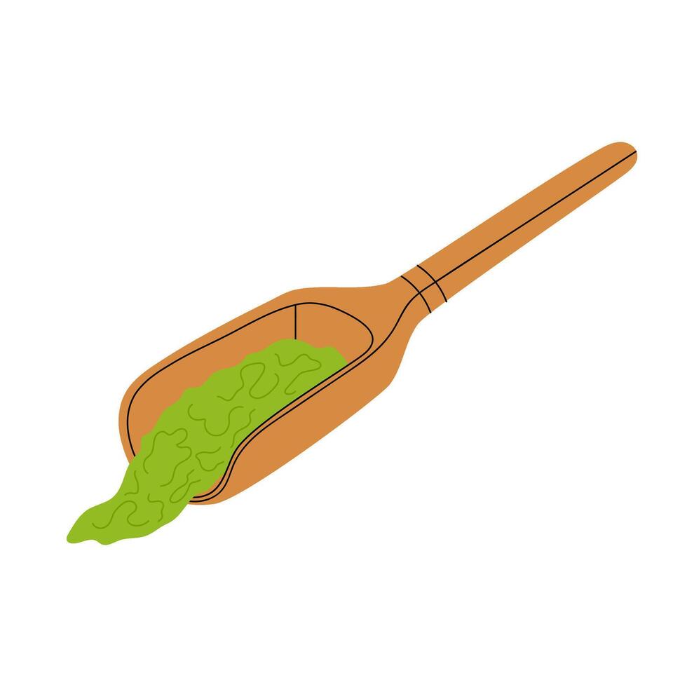 Matcha powder. Ground green tea in a wooden spoon. Flat illustration on a white background. vector
