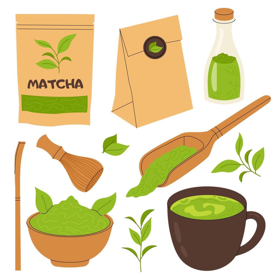 Matcha set. Illustrations green tea, chashaku, matcha powder, cup. Paper packaging of tea. Tools for making matcha drink. vector