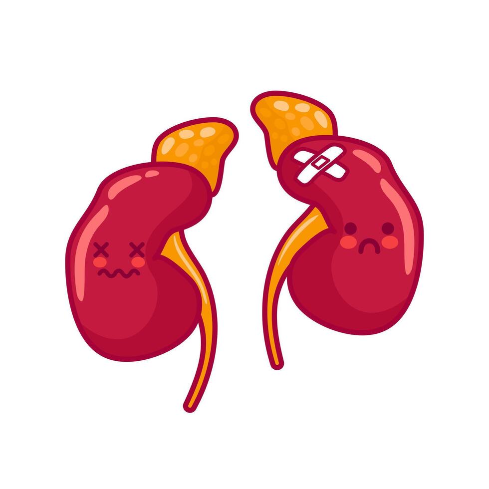 Diseased human kidneys. Cute characters in kawaii style. Organs, urinary system. illustration, flat style. Health problems. For stickers, books, design. Medical brochure template. vector