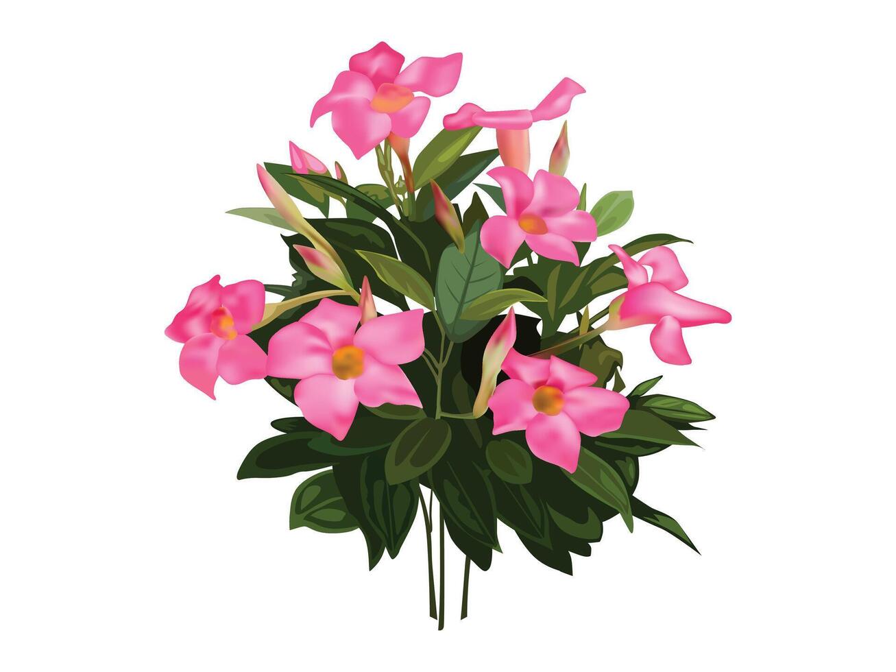 Red flower bouquet illustration design, isolated on white background. vector