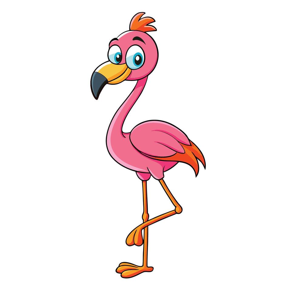 Elegant Flamingo with White Backdrop vector