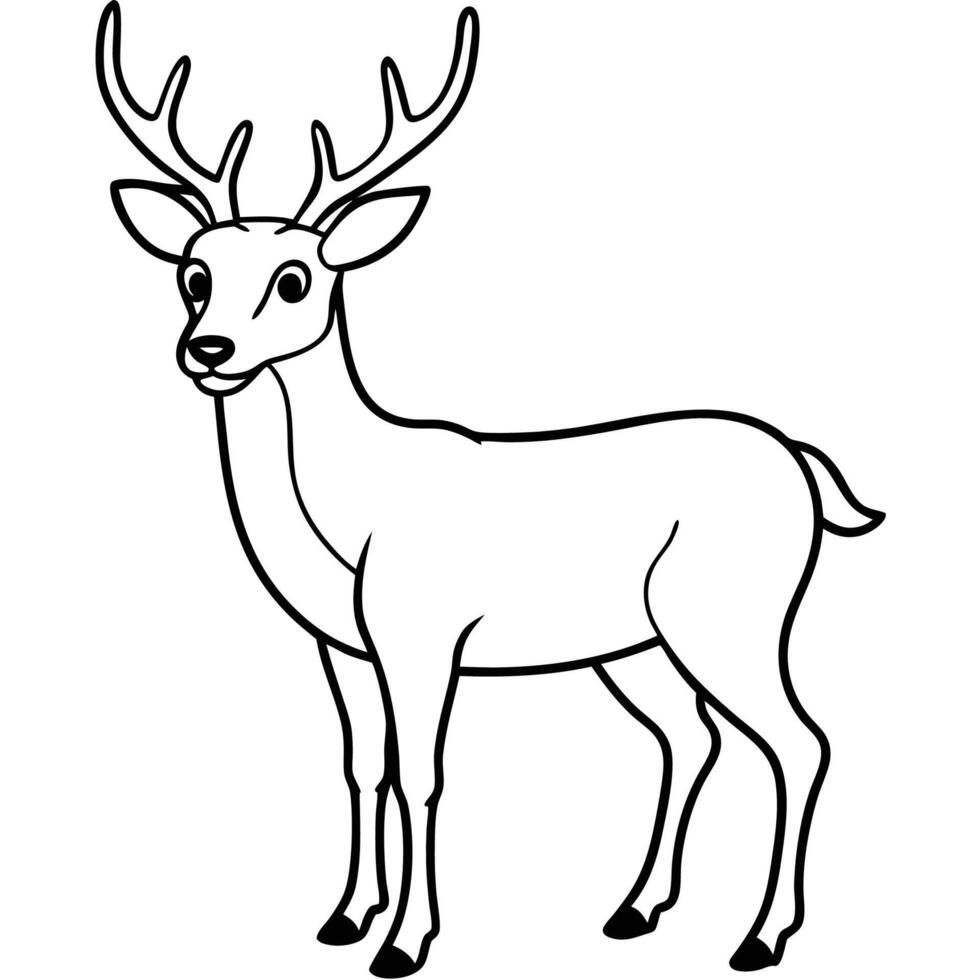 Deer Coloring Page for Kids vector