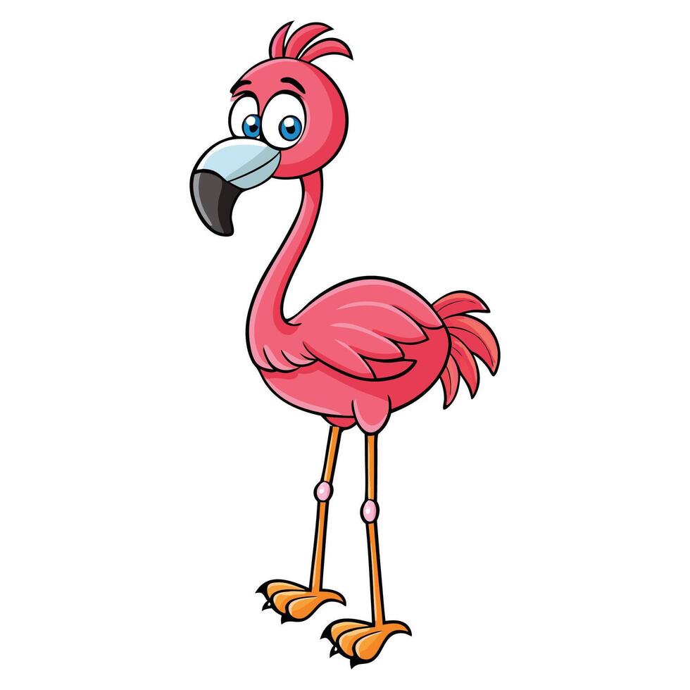 Flamingo Standing Against White Canvas vector
