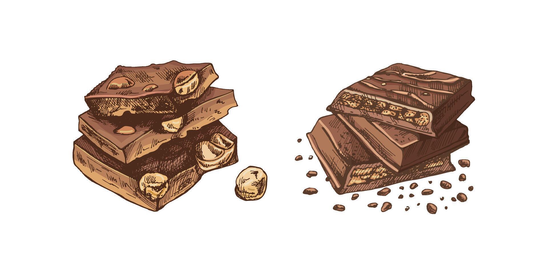 Hand-drawn chocolate nut bar colored sketches in vintage style vector
