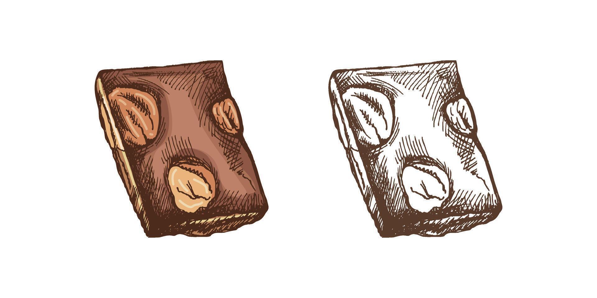 Piece of colored and monochrome chocolate sketch of chocolate with nuts in vintage hand-drawn style vector