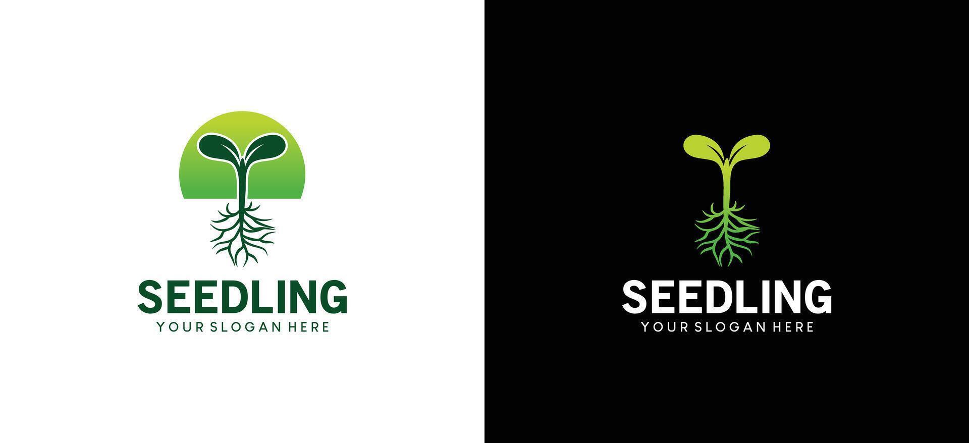 Green seedling logo design, icon symbol of a small plant with roots growing naturally vector