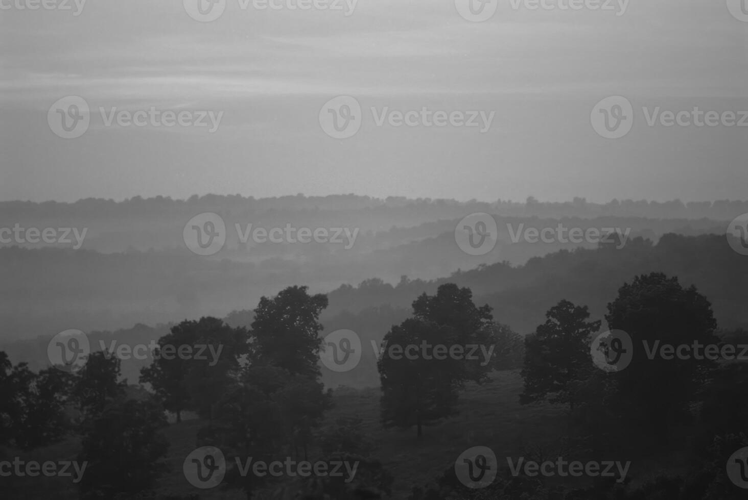 Vivid Red Sky at Morning A Tranquil Sunset Over Natural Landscapes with Trees and Clouds photo