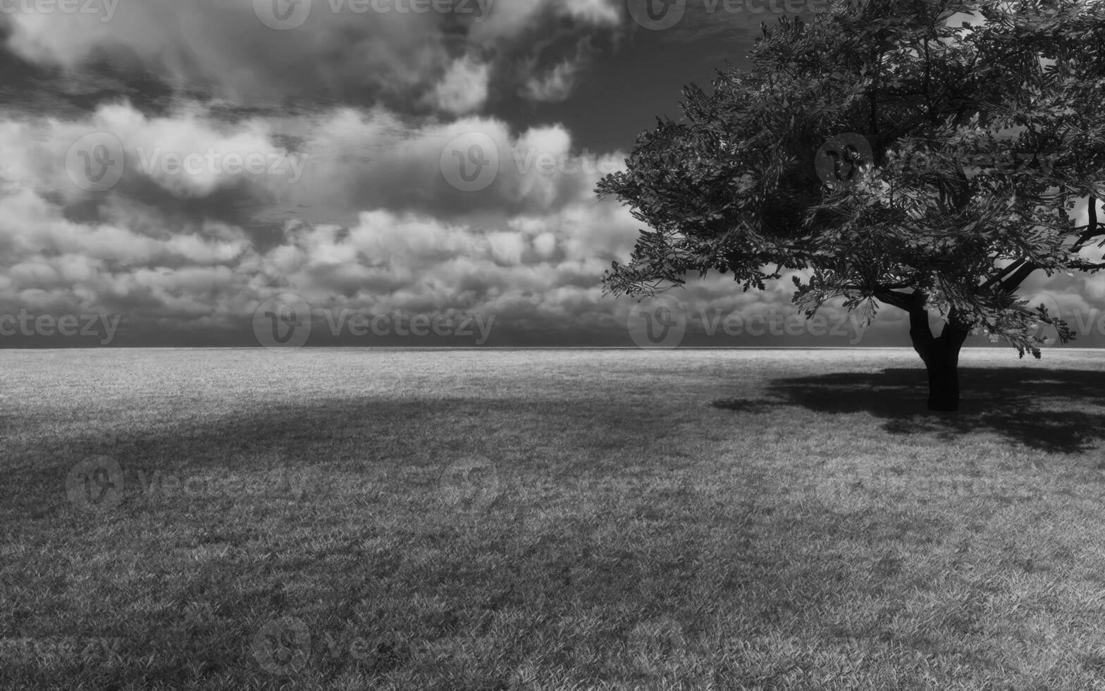 Tranquil Natural Landscape with Lush Grasslands, Trees, and Cloudy Sky photo