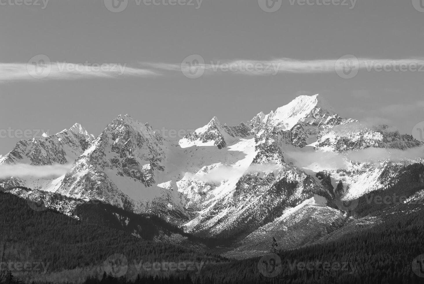 Majestic Snow-Capped Mountain Under a Cloudy Sky with Lush Greenery and Glacial Features photo