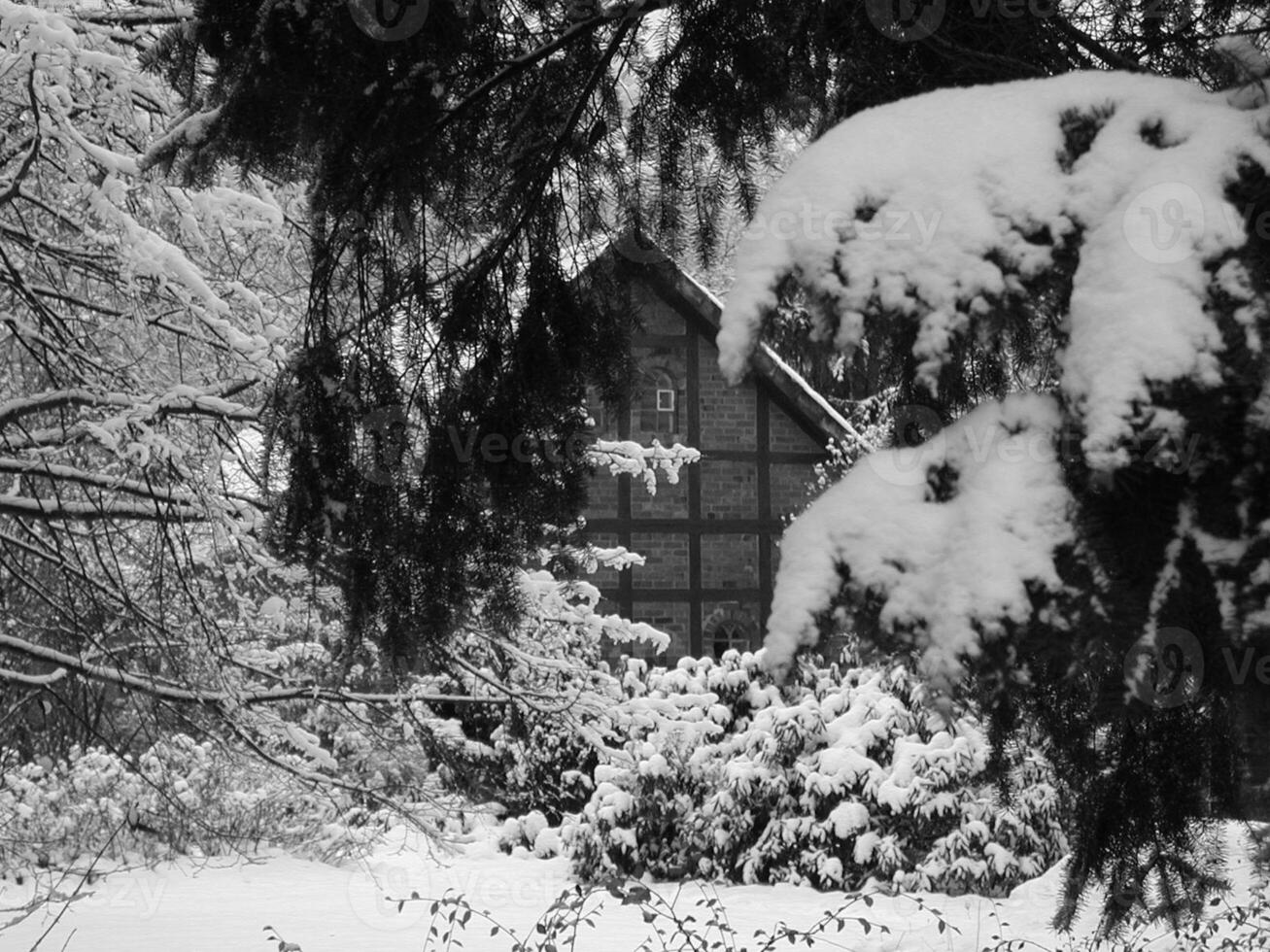 Snowy Plant Branches by a Window in a House on a Sloping Landscape photo
