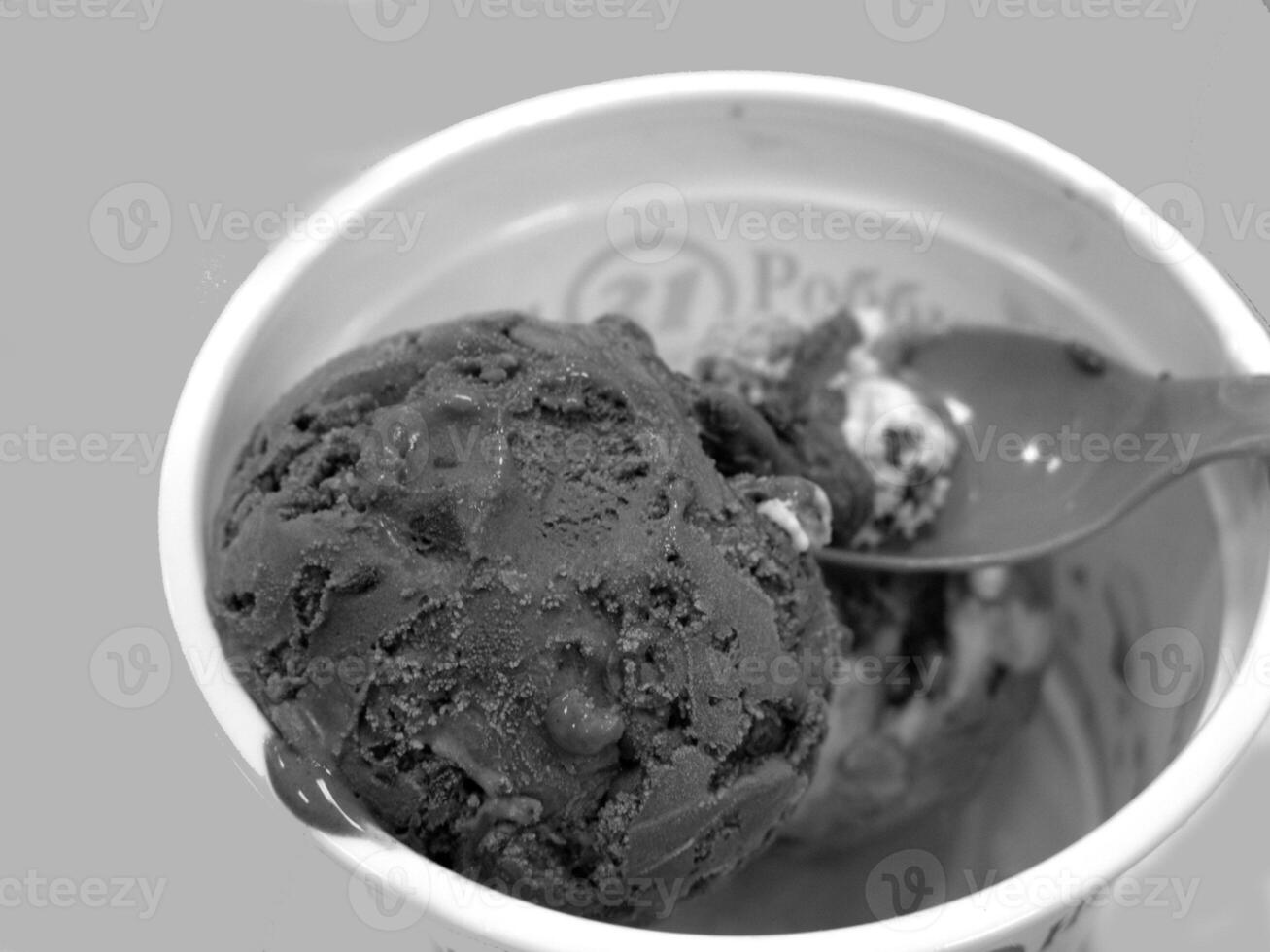 Chocolate and Soy Ice Cream Dessert on Tableware photo