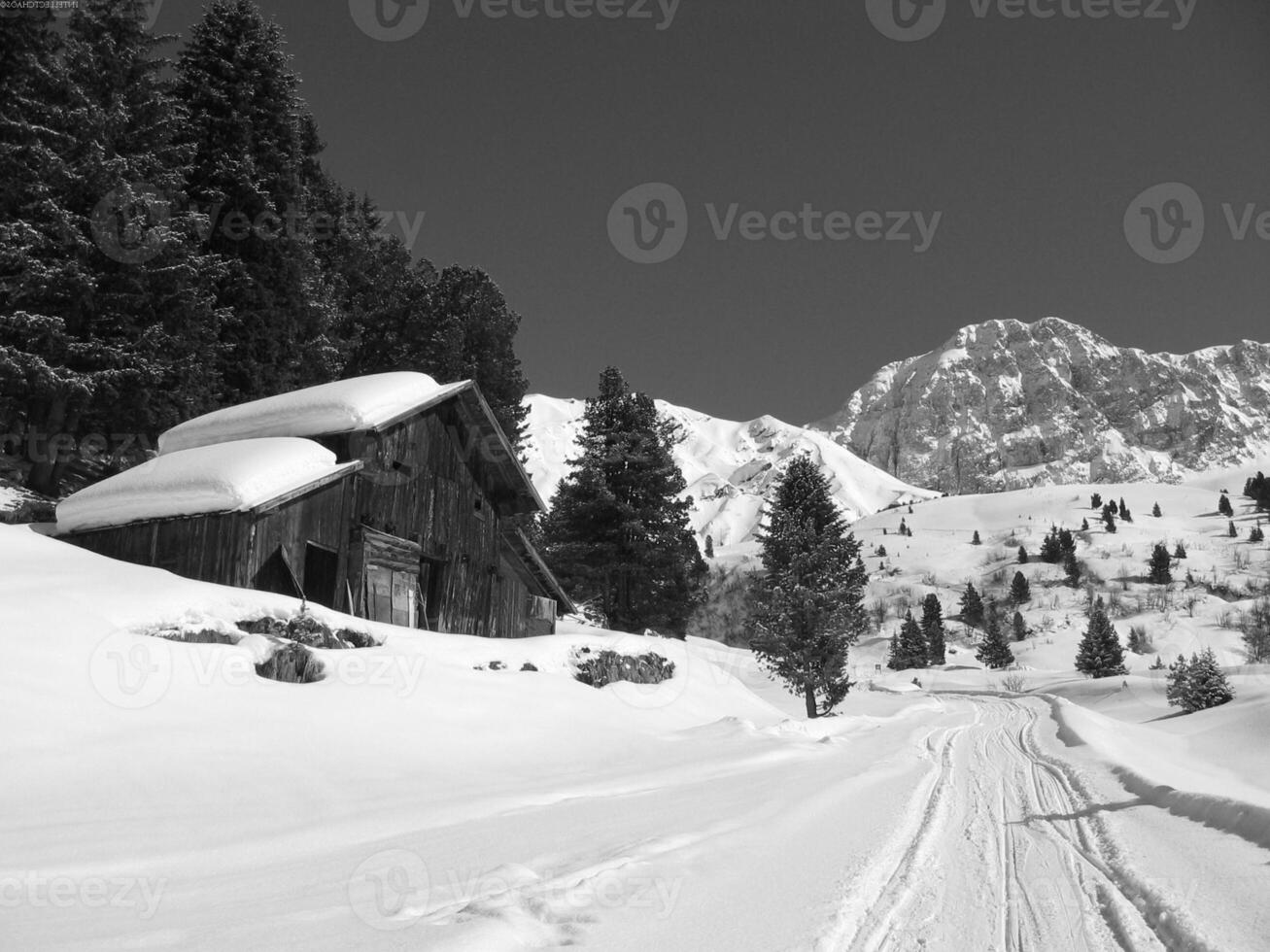 Snowy Mountain Landscape with Trees and a House by a Window photo