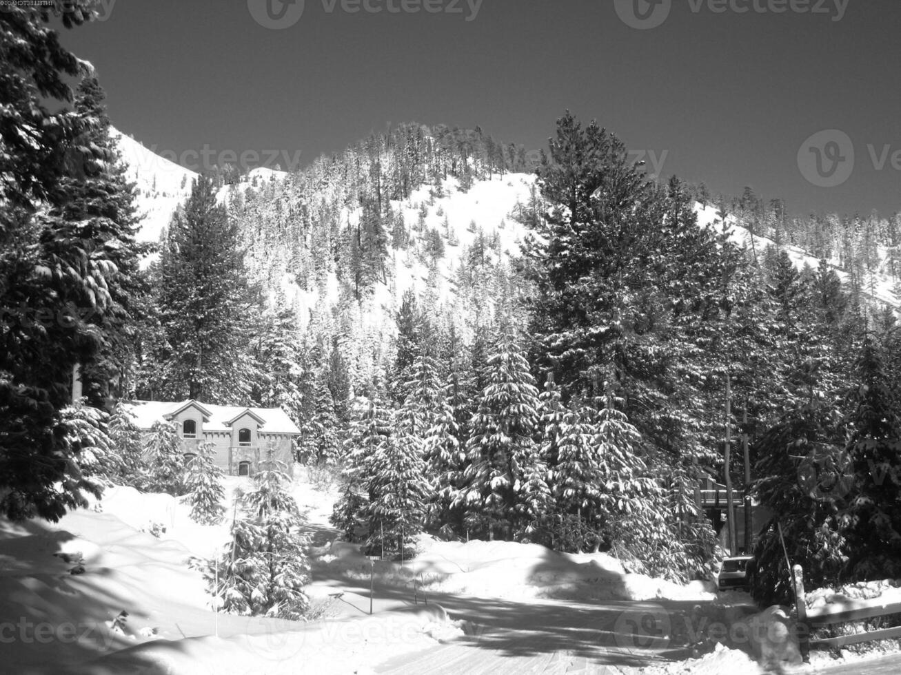 Snowy Mountain Landscape with Larch Trees photo