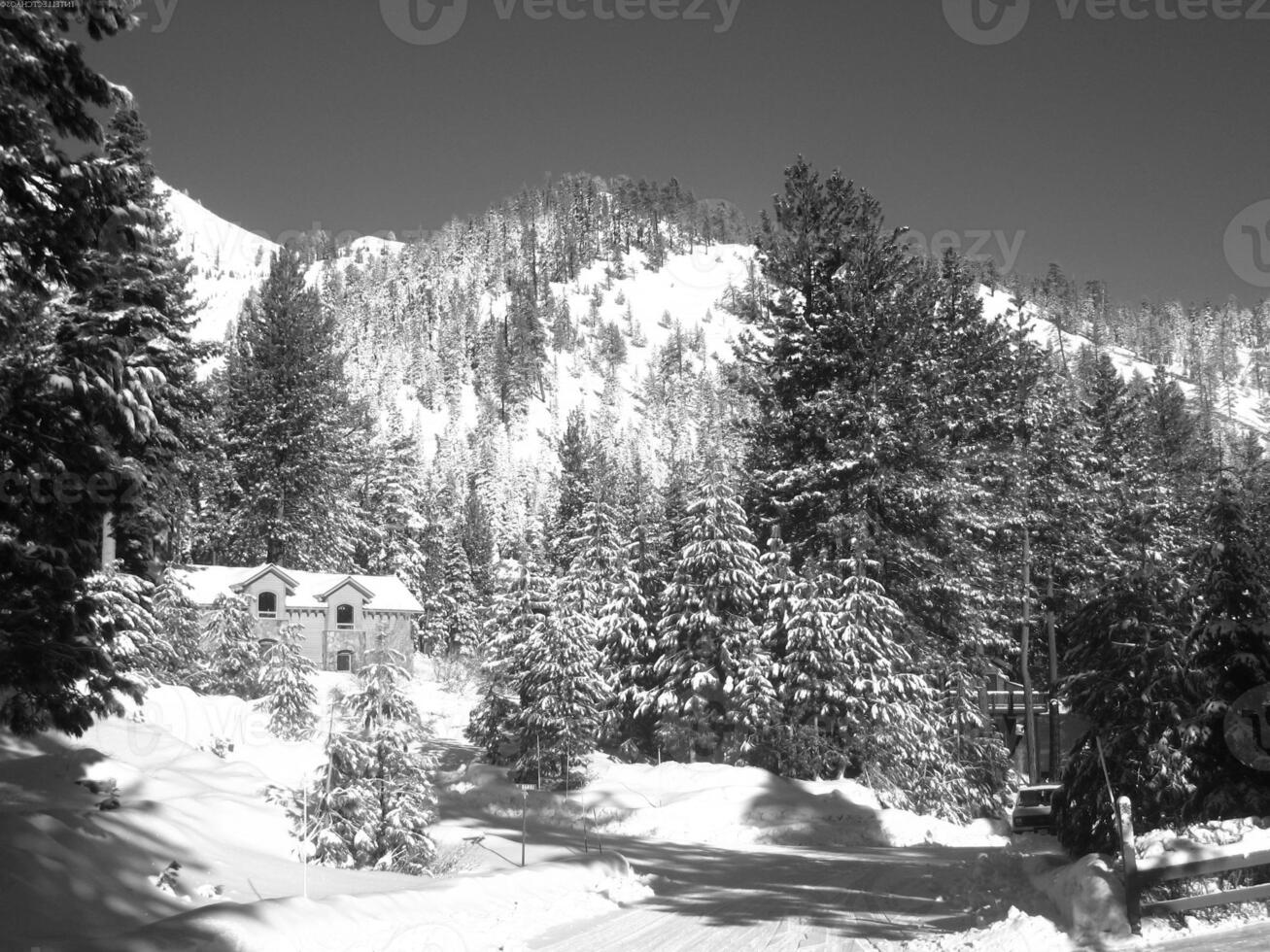 Snowy Mountain Landscape with Larch Trees Under Freezing Sky photo