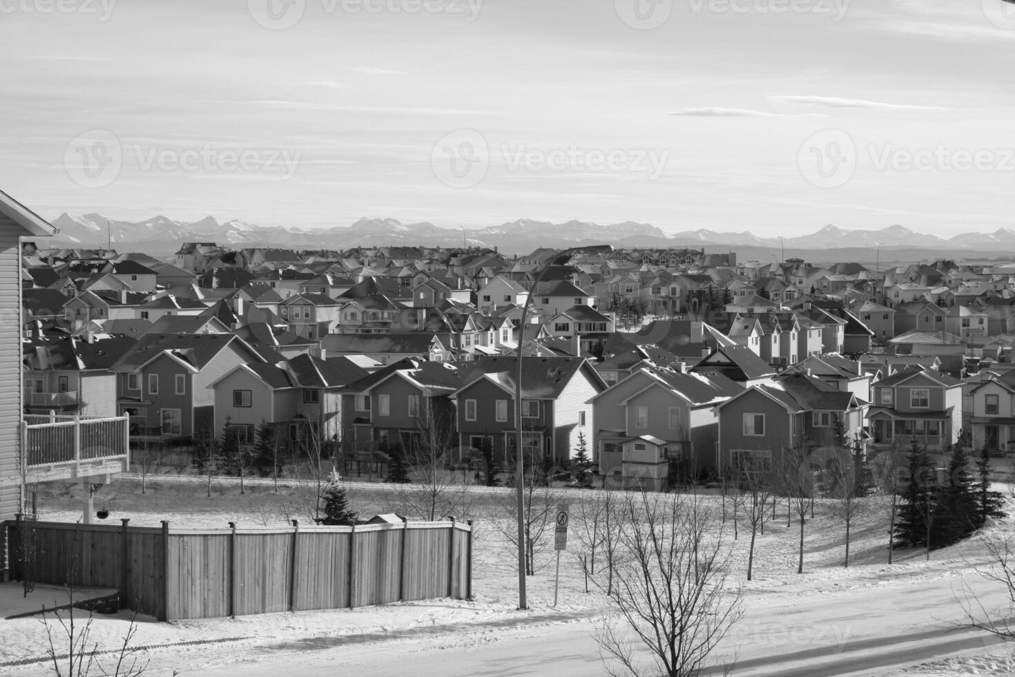 Daytime View of a Snow-Covered House with Trees and Plants Under a Cloudy Sky photo