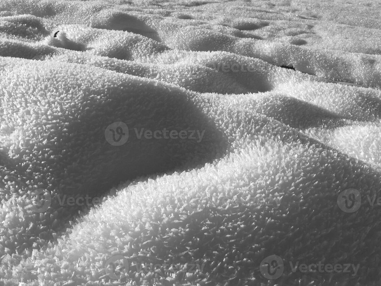 Winter Ecoregion Landscape with Snow and Grass Patterns photo