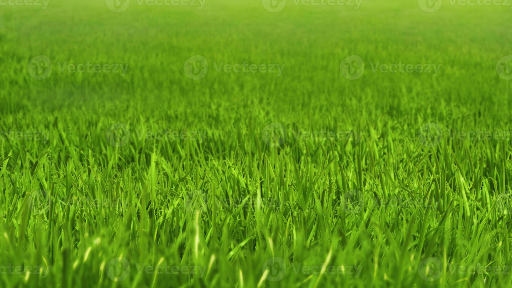 Grass and flowers illustration background. Summer plants close view photo