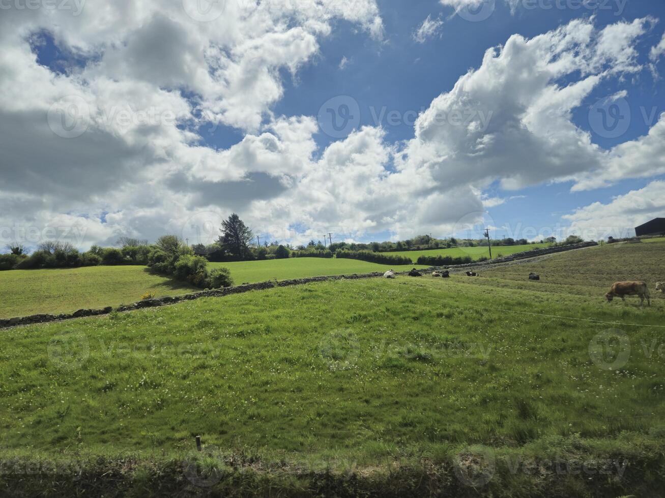 Highland Landscape with Cumulus Clouds and Trees photo