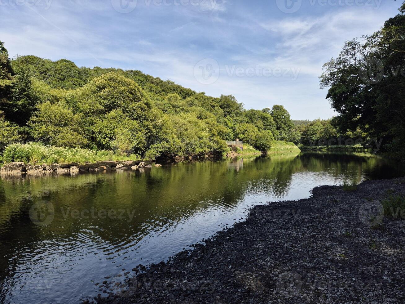 Highland Lake with Trees and Grass Under Cloudy Sky photo