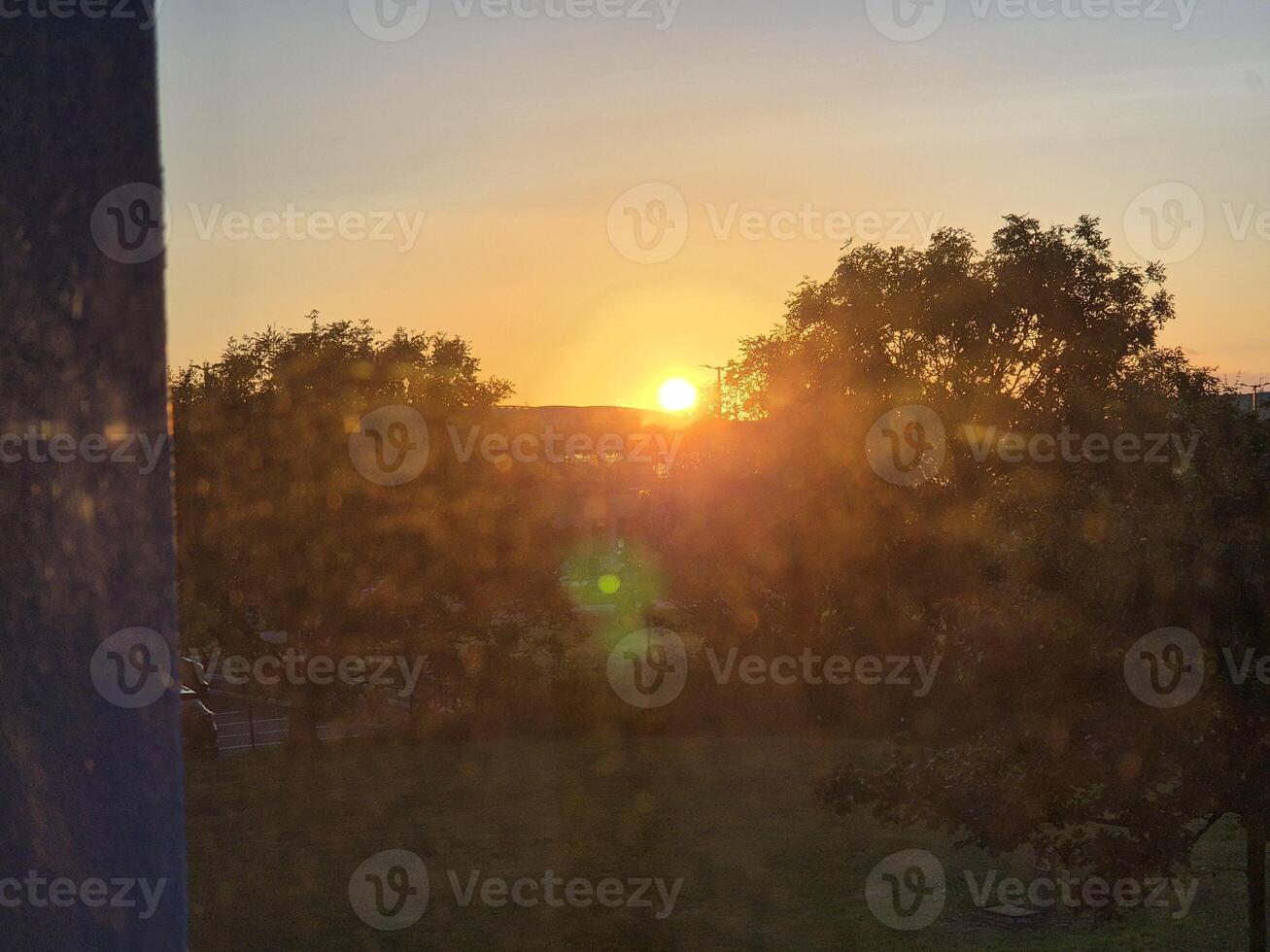 Dusk Atmosphere with Trees and Orange Sky Over Natural Landscape photo