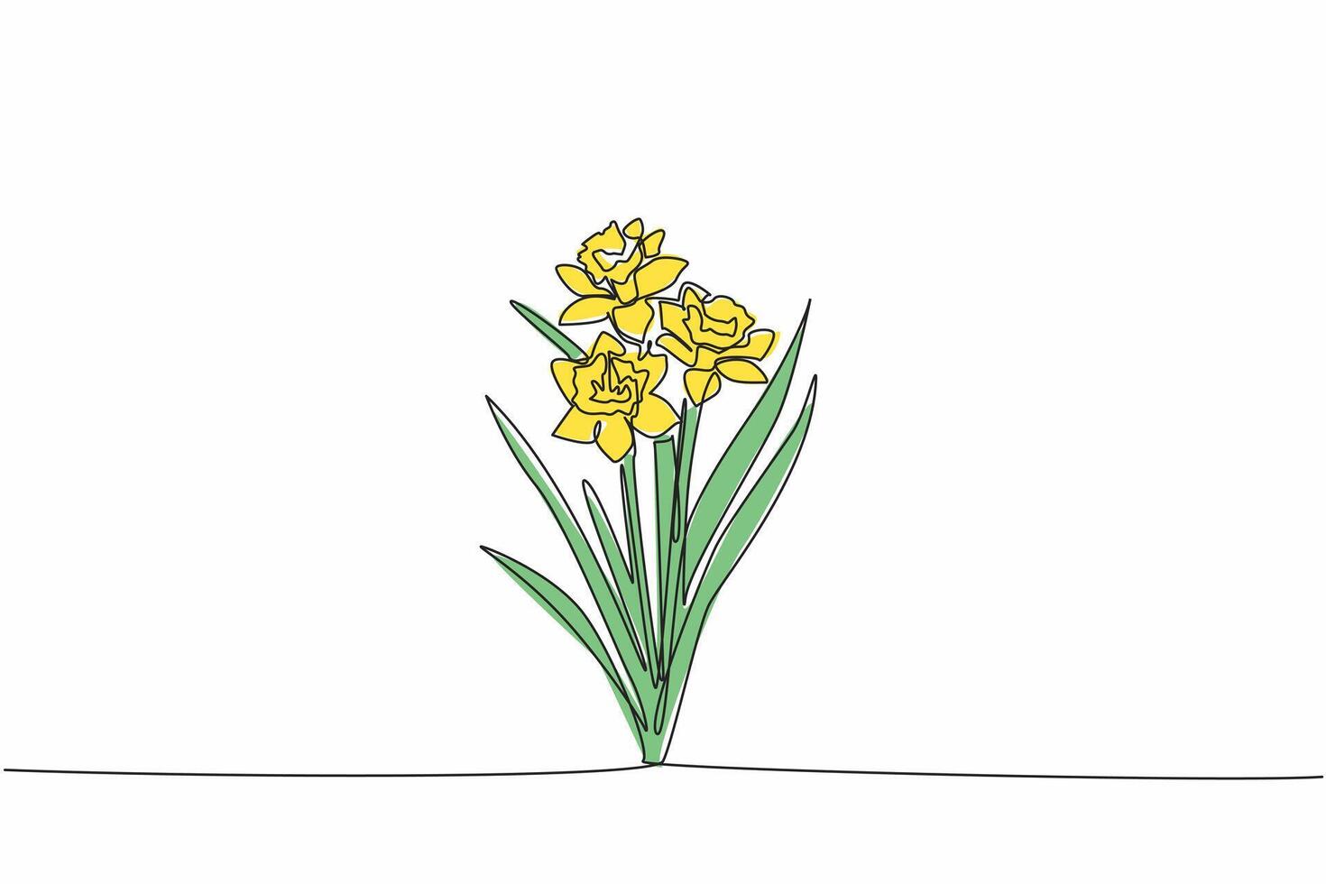 Continuous one line drawing three stalks of daffodil flowers. Trying to breed. Medical plants. The kindness of many people. Antioxidant plant. Daffodil Day. Single line draw design illustration vector