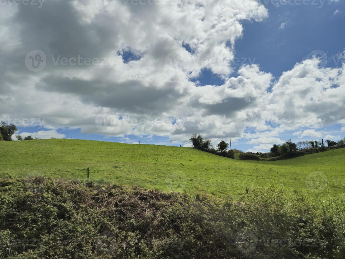 Cloudy Sky Over Green Landscape with Trees and Grass photo