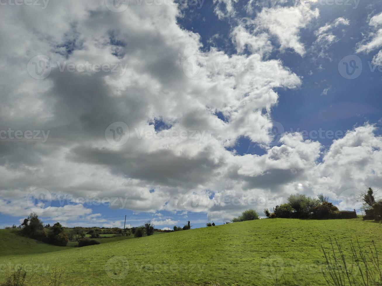 Cloudy Sky Over Grassland with Trees and Plants photo
