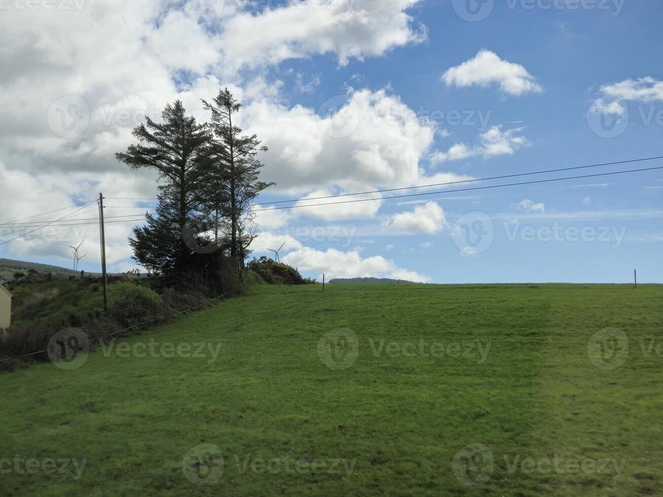 Cloudy Sky Over Green Landscape with Trees and Grassland photo