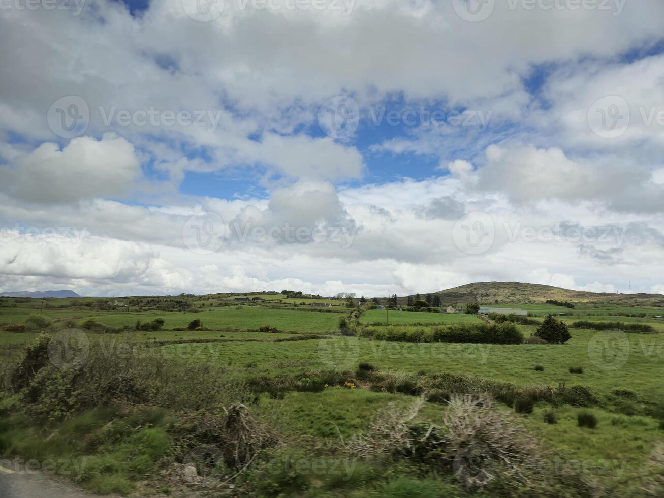 Cloudy Sky Over Grassland with Trees and Plants photo