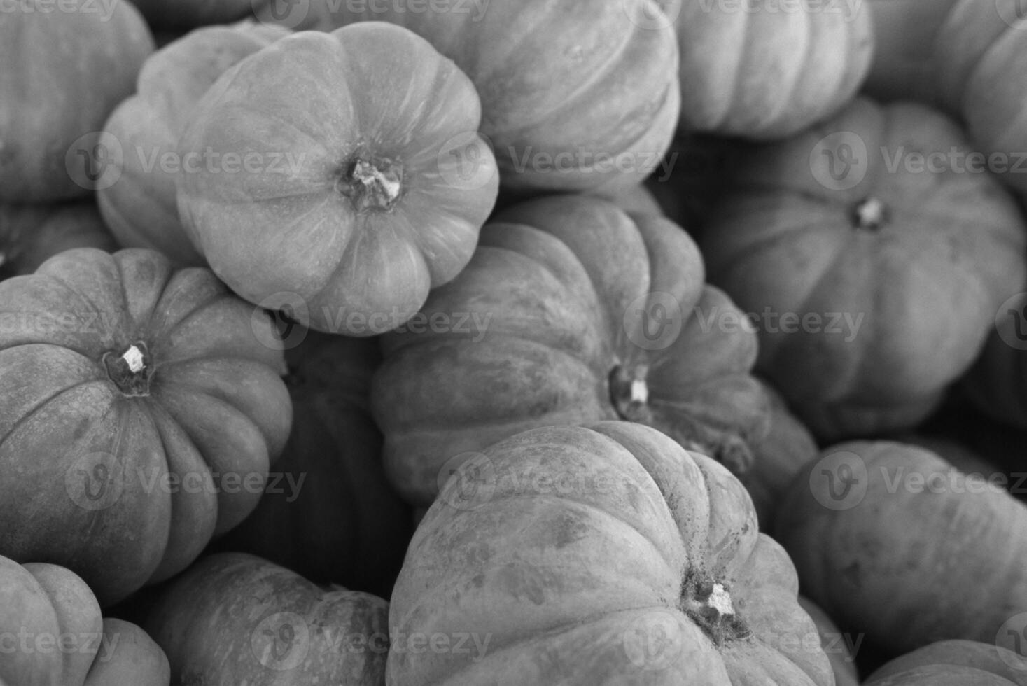 Acorn squash close view background photo
