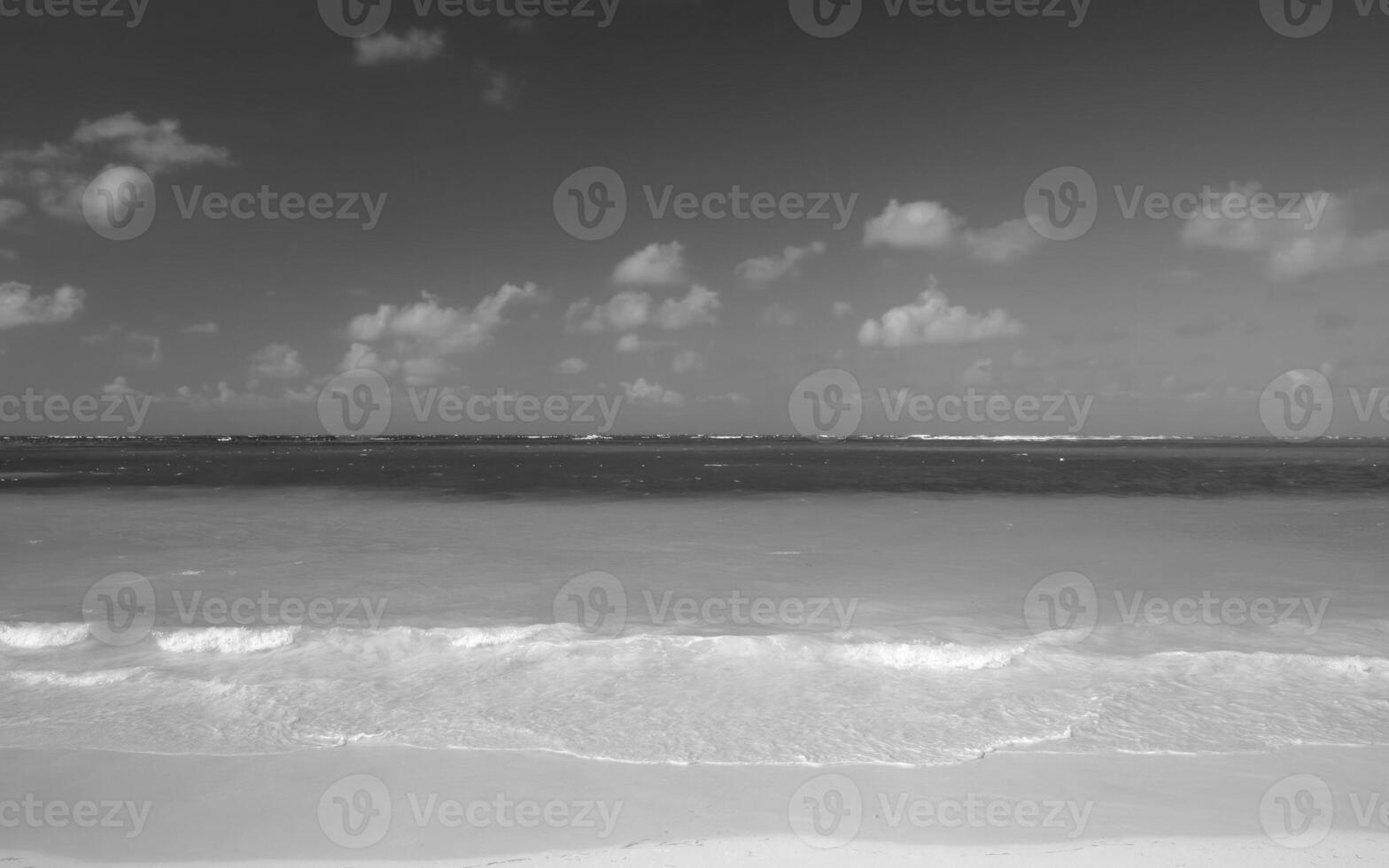 Serene Coastal Scene Under a Blue Sky with Fluffy Cumulus Clouds and a Lush Tree photo