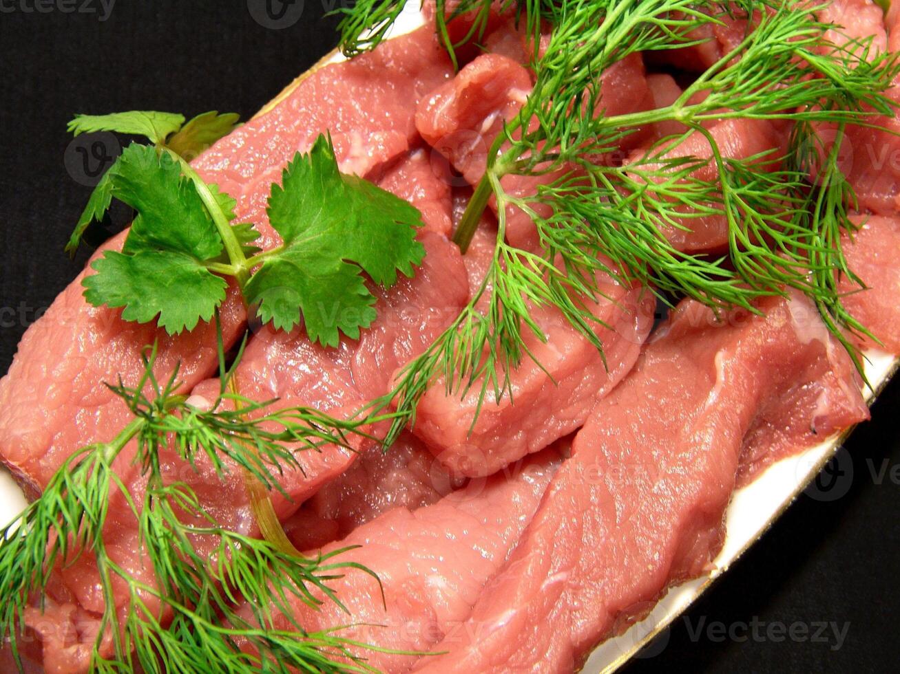 Raw uncooked meat with greens on a plate close view background photo