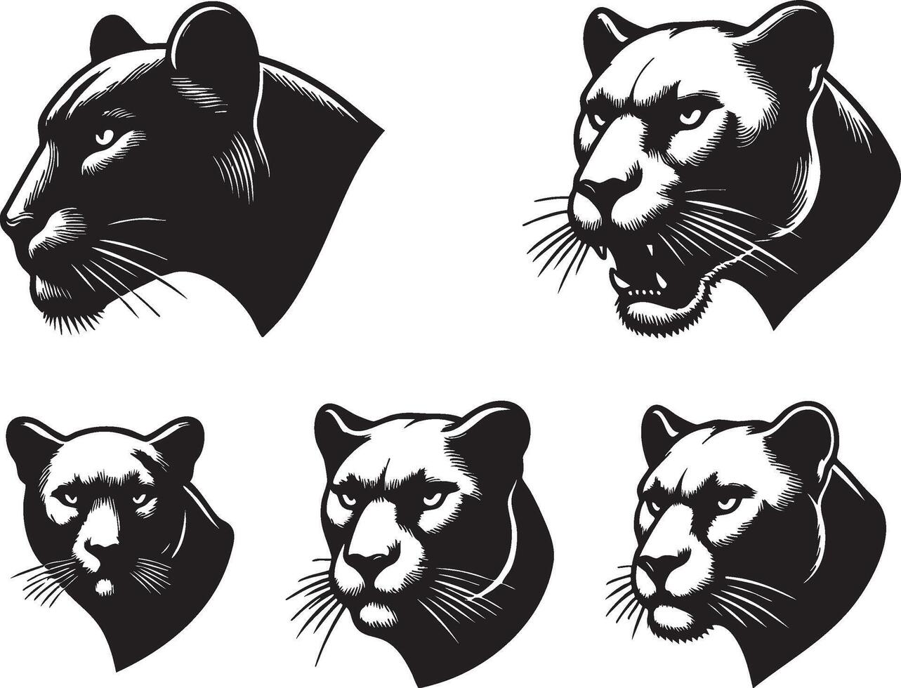 Sleek Panther Head for Minimalist Artwork vector