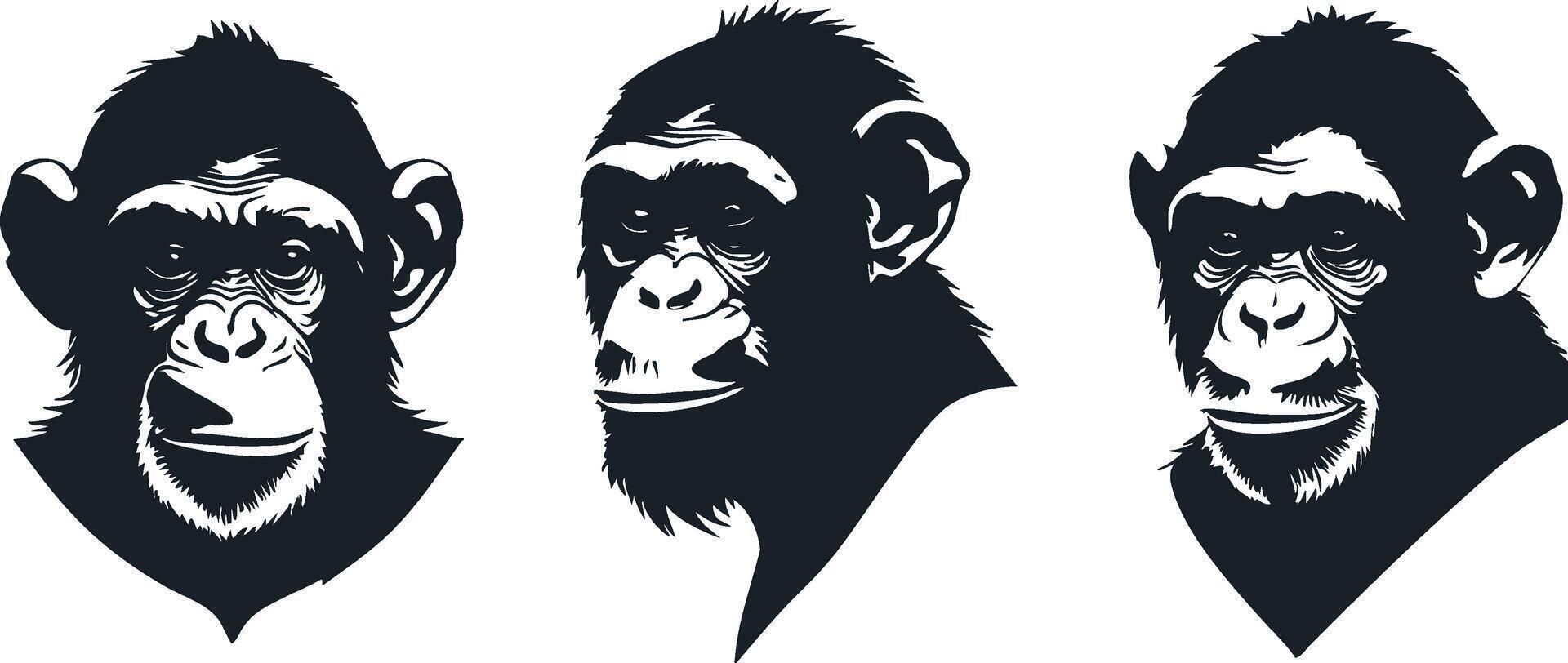 Primate Chimpanzee Silhouette for Fun and Whimsical Illustrations vector