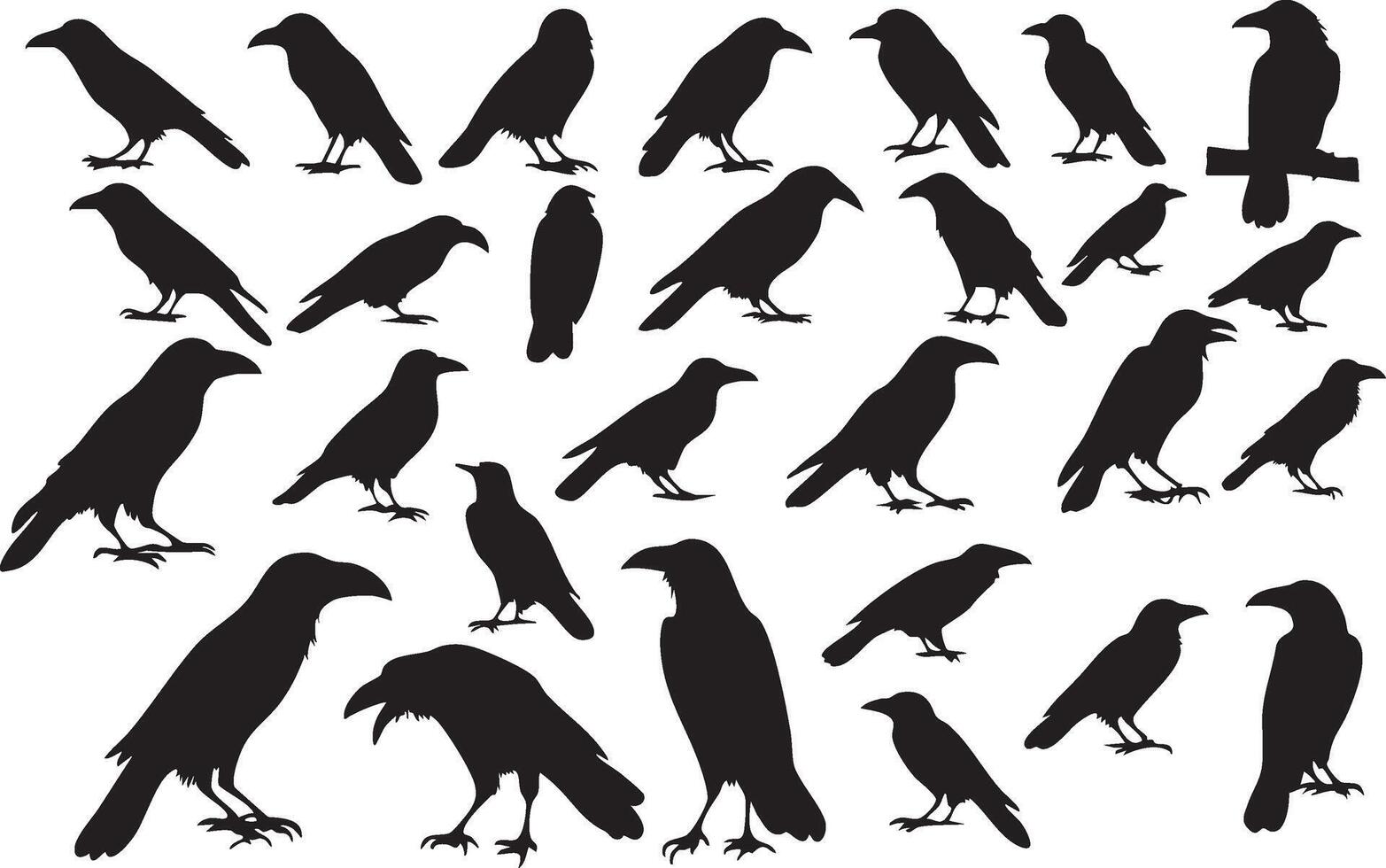 Wild Crow Silhouette for Bold and Rugged Animal Art vector