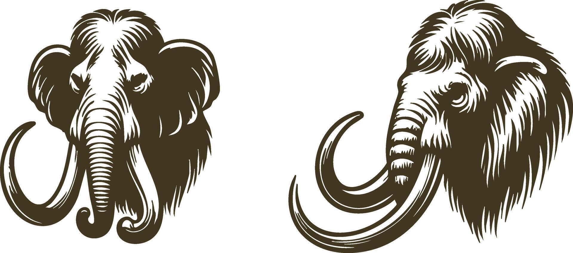 Woolly Mammoth Illustration for Ice Age Art Projects vector
