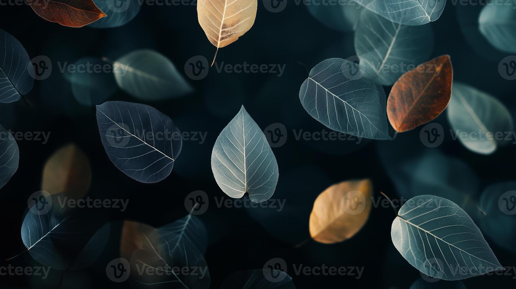 Colorful leaves gently fall against a dark backdrop during autumn in a tranquil forest setting photo