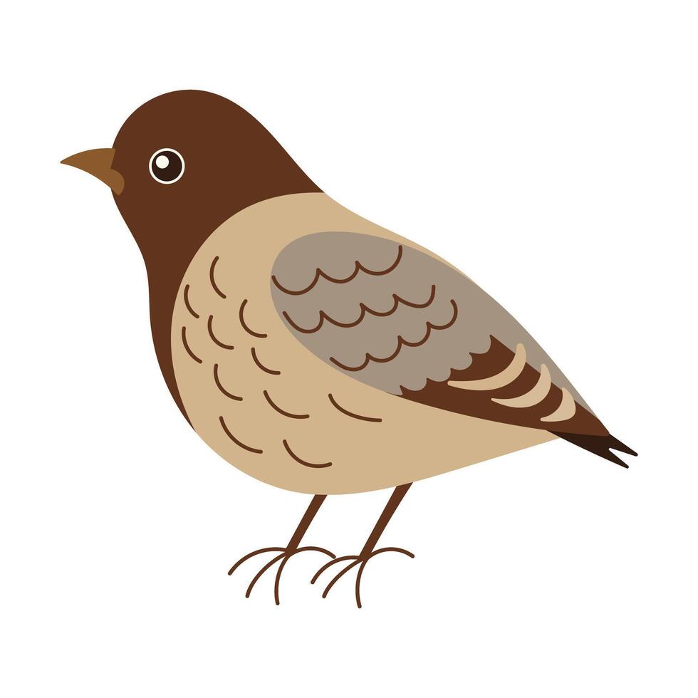 A bird with a brown head and gray body. The bird is standing on a white background. The bird has a curious expression on its face vector