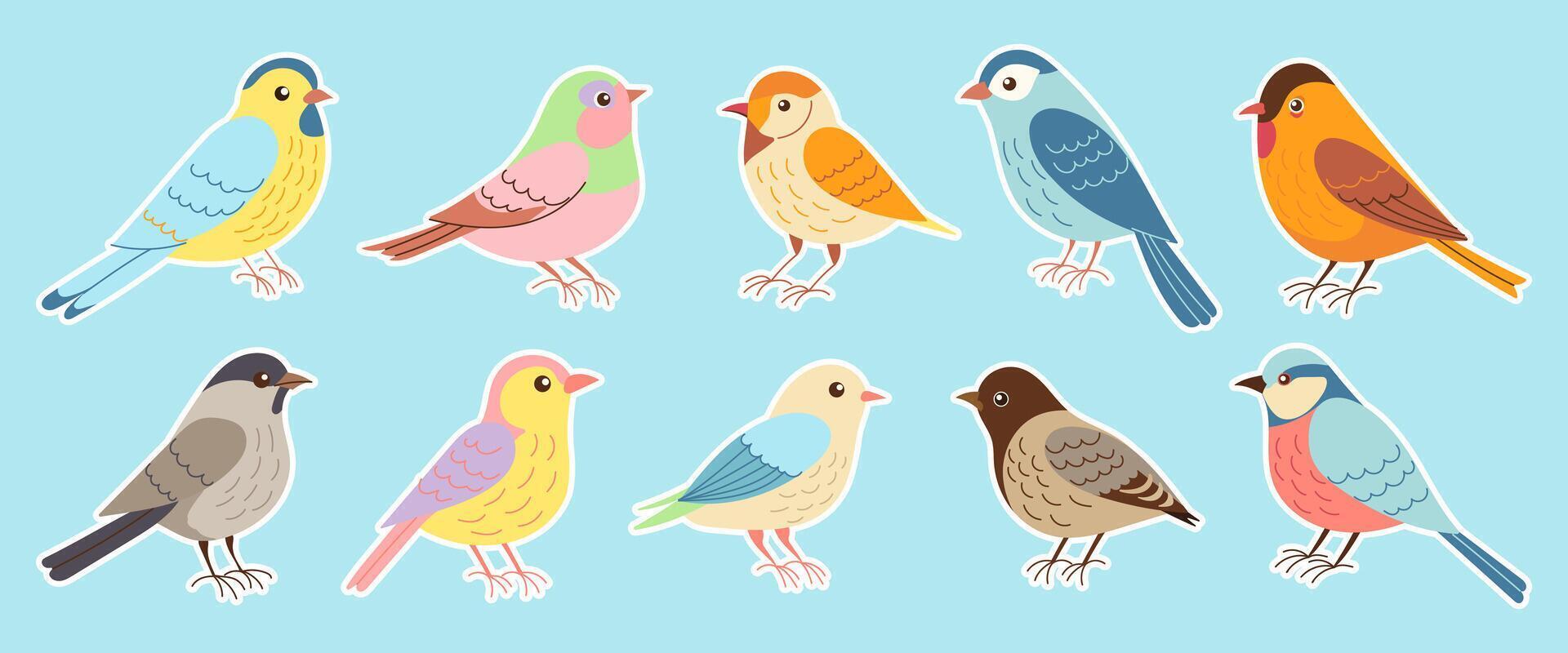 A set of colorful birds with different colors and sizes. The birds are arranged in a row, with some standing closer to the left side and others towards the right side. Scene is cheerful and lively vector