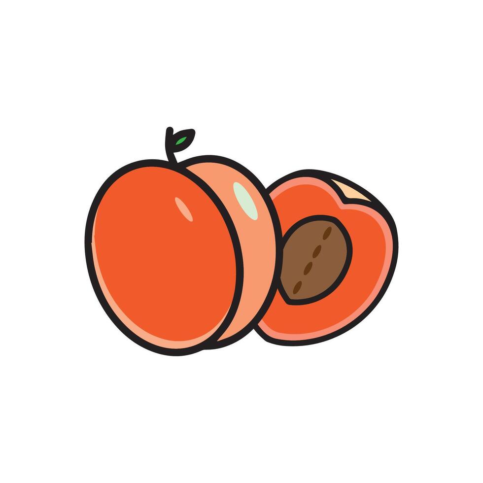 peaches , apricot vector